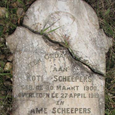 SCHEEPERS Kotie 1900-1919 :: SCHEEPERS Fanie 1909-1924
