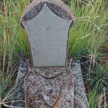 STRIJDOM Dinah Magrietha 1936-1936