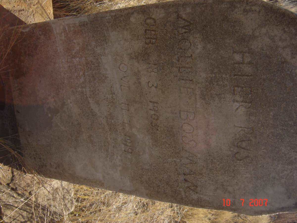 BOSMAN Mollie 1905-1919