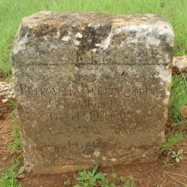 GOLDING Petronella Aletta 1892-1901