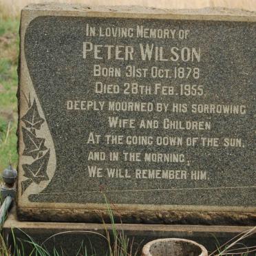 WILSON Peter 1878-1955