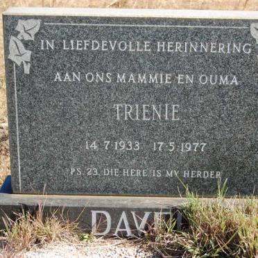 DAVEL Trienie 1933-1977