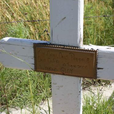 Mpumalanga, BALFOUR district, Vaaldam, Zandfontein 484 IR farm, single grave