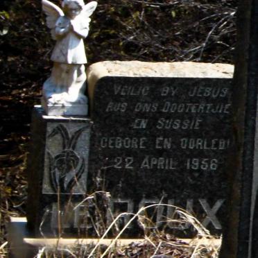 ROUX Baby, le 1956-1956