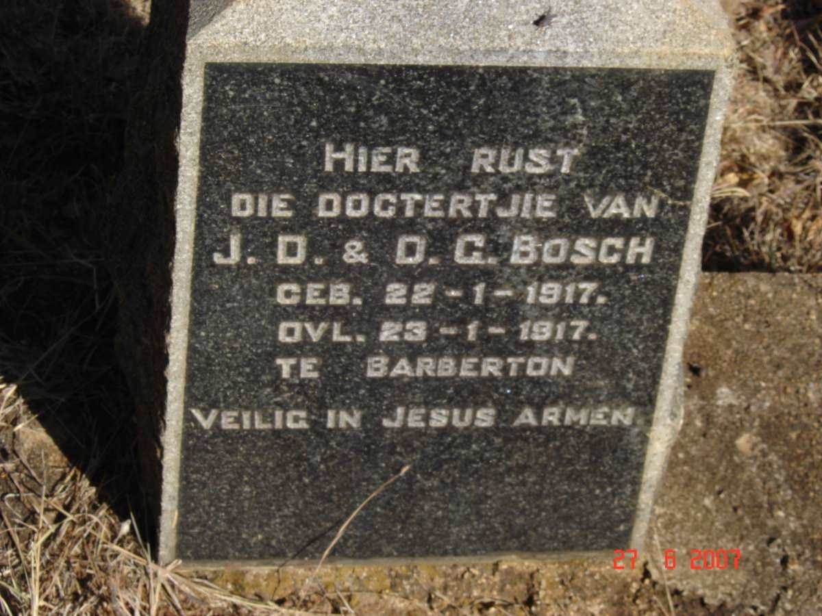 BOSCH Dogtertjie 1917-1917