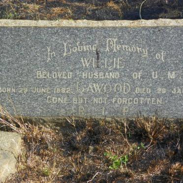 CAWOOD Willie 1882-1946