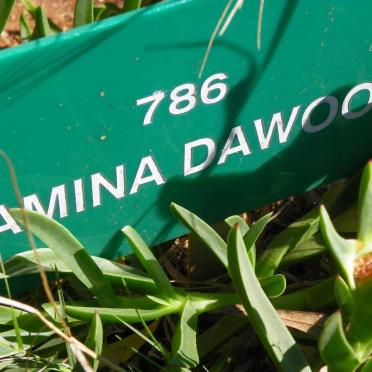 DAWOOD Amina