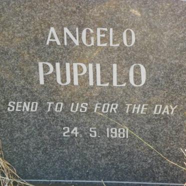 PUPILLO Angelo 1981-1981