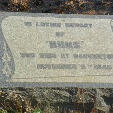 ? Mums -1948