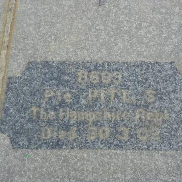 PITT S. -1902