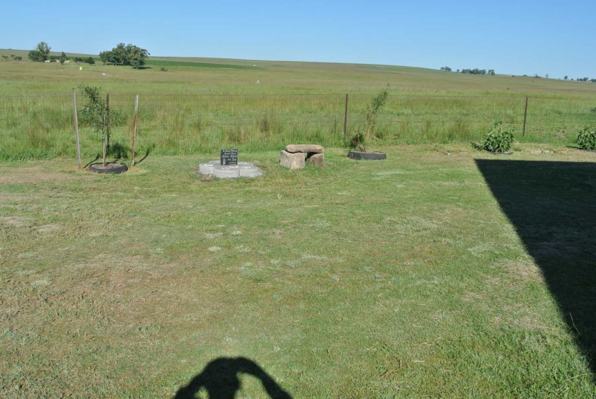 1. Overview