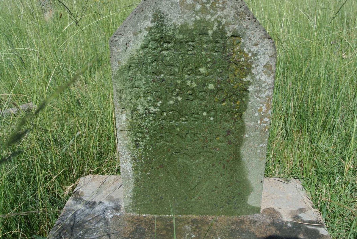 NAUDE Jacobus Petrus 1930-1933