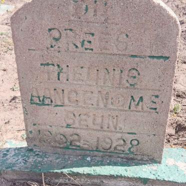 PREES Theunis, du 1902-1928