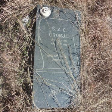 CRONJE S.A.C. 1961-1966