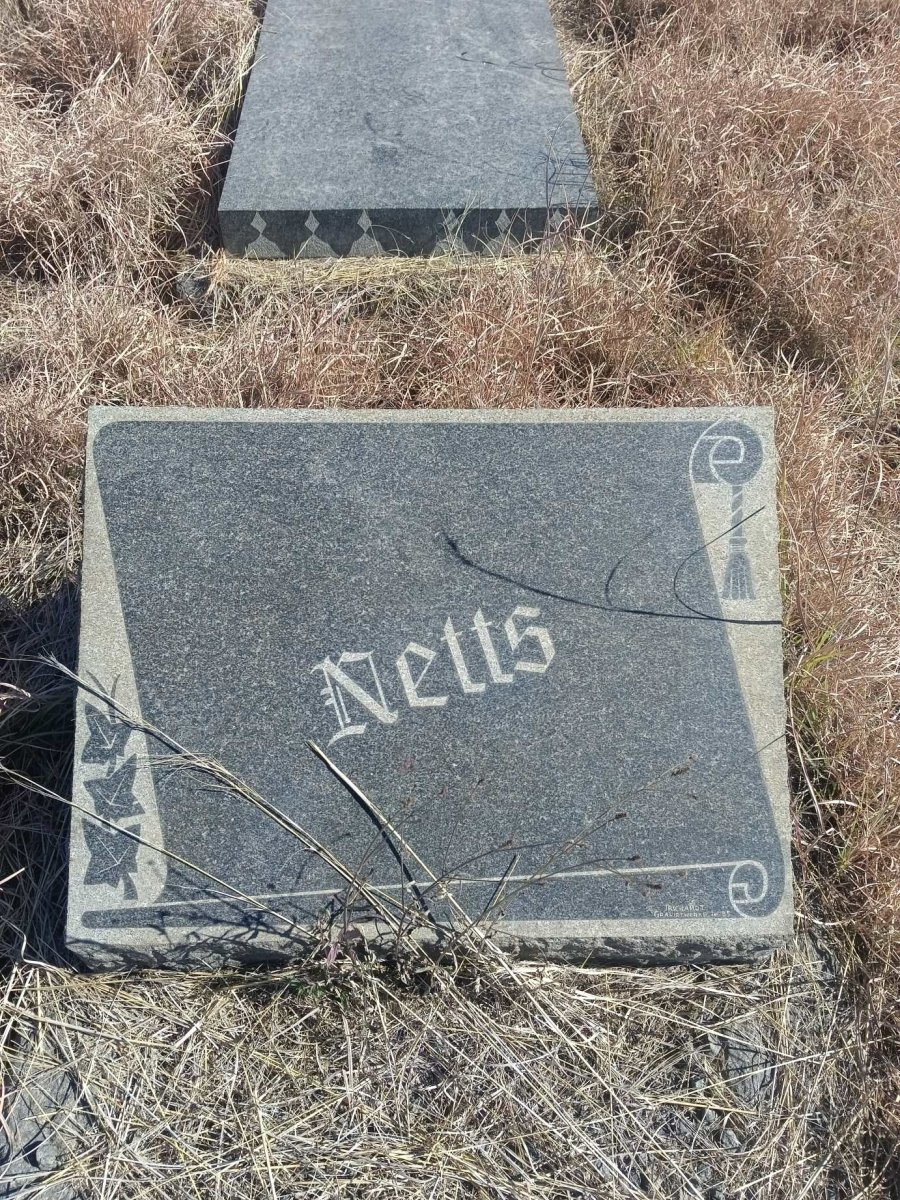 NETTS ?