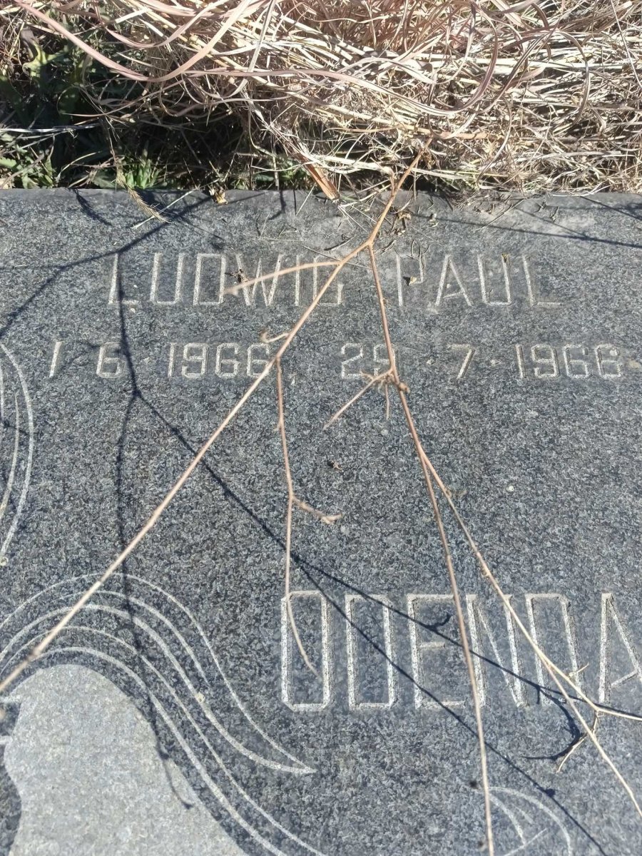 ODENDAAL Ludwig Paul 1966-1966