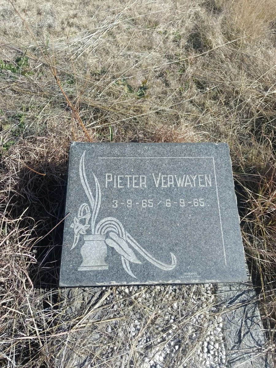 VERWAYEN Pieter 1965-1965