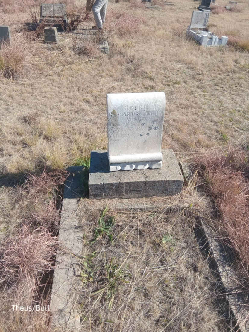V? Gerhardus Petrus ?