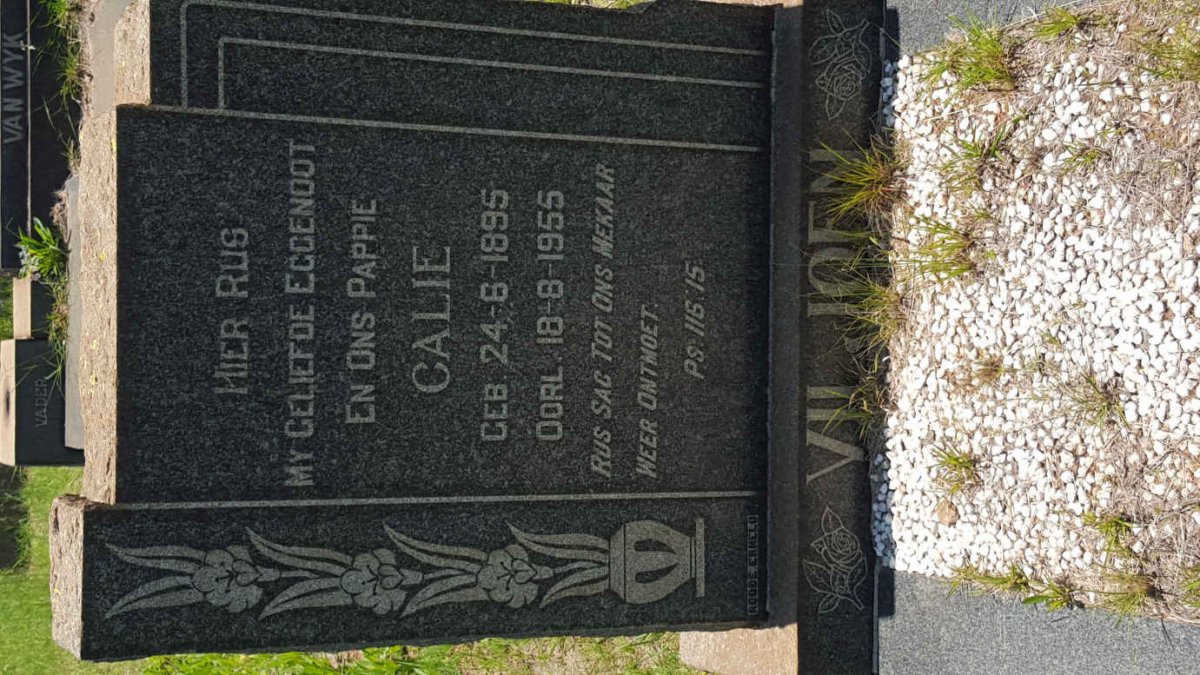 VILJOEN Calie 1895-1955