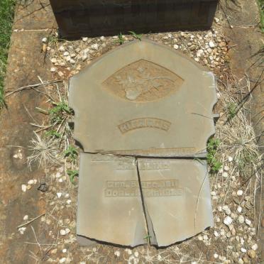 GREIJLING Marthinus Johannes 1911-1928