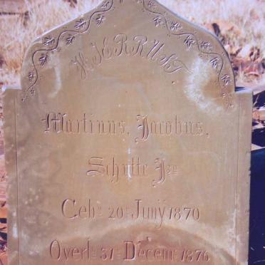 Mpumalanga, DELMAS district, Goedgedacht 228, farm cemetery