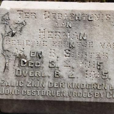 SLUITER Herman 1915-1915