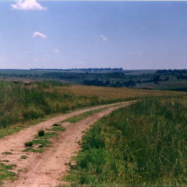 1. Overview