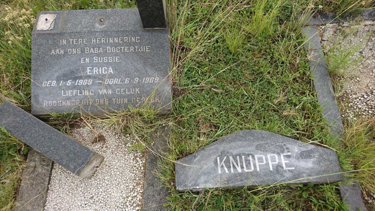 KNUPPE Erica 1969-1969
