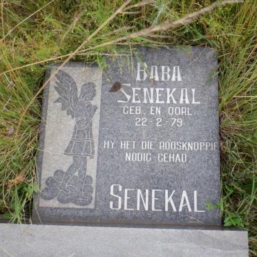SENEKAL 1979-1979