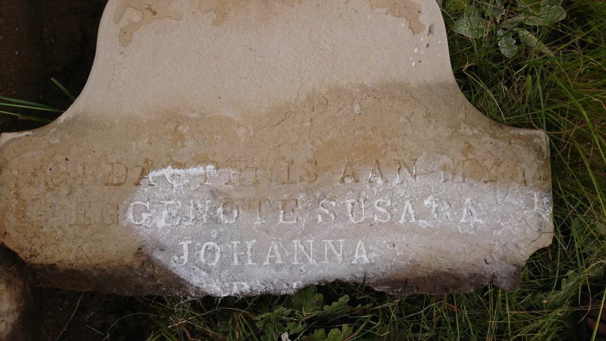 ? Susanna Johanna 