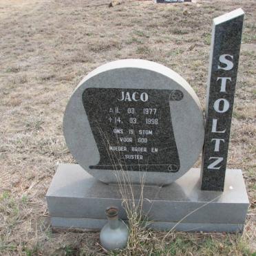 STOLTZ Jaco 1977-1998