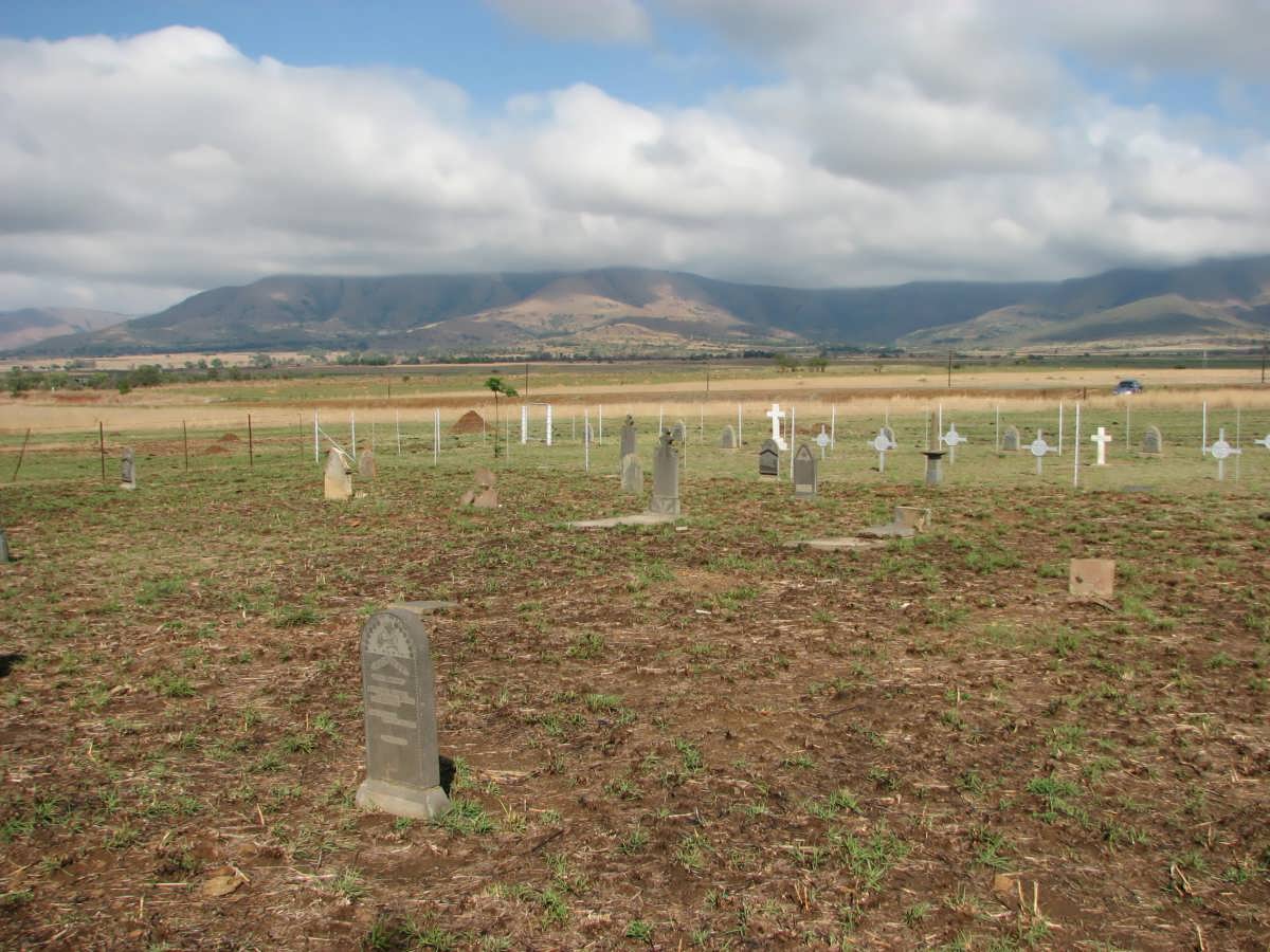 1. Overview on the cemetery with the military cemetery in the background