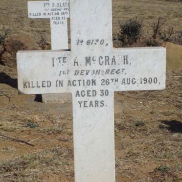 McGRAPH A. -1900