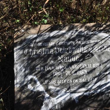 Mpumalanga, MIDDELBURG district, Hendrina, Boschmanspoort 159, Bosmanspoort_1, farm cemetery