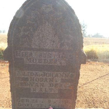 HOGAN Alida Johanna nee VAN DER WALT 1881-1917