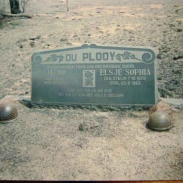 Mpumalanga, MIDDELBURG district, Arnot, Blesboklaagte 488, farm cemetery_1