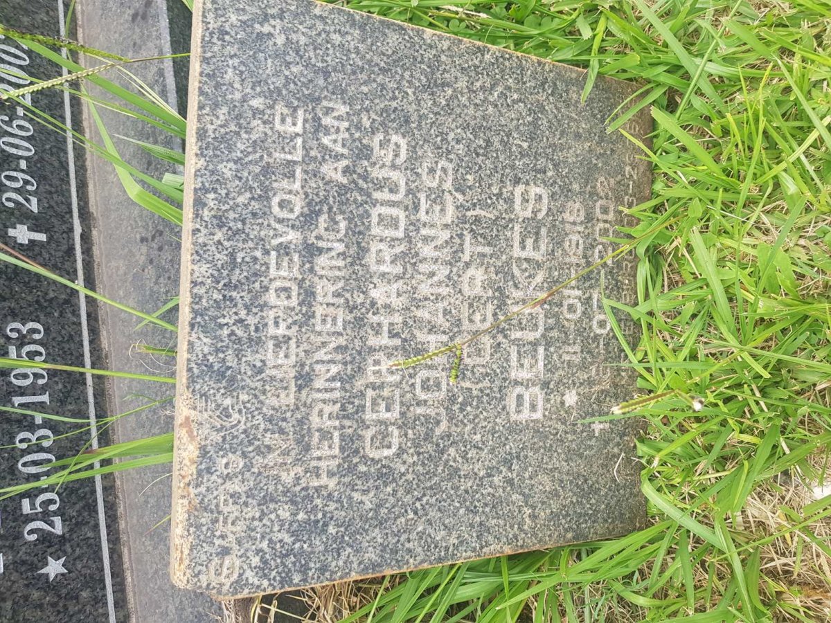 BEUKES Gerhardus Johannes 1918–2002 :: ROUX Pieter 1953–2002 #2
