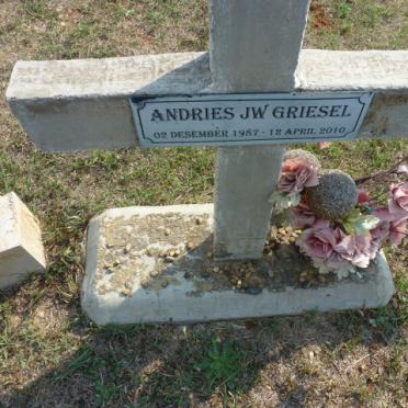 GRIESEL Andries J.W. 1987-2010