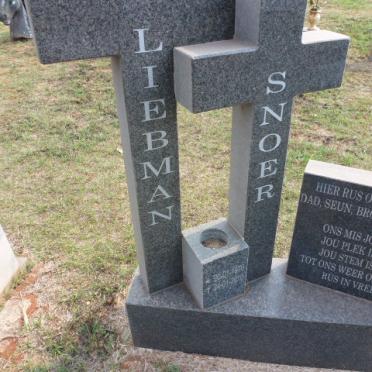 LIEBMAN Snoer 1970-2010