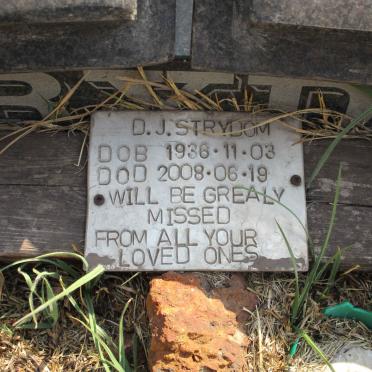STRYDOM David Johannes 1936–2008 #2