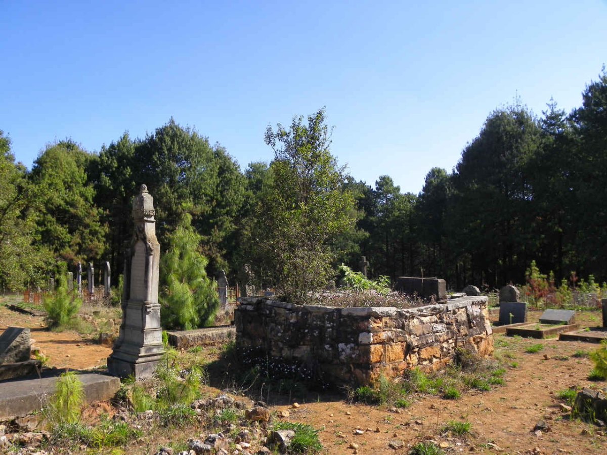 6. Overview