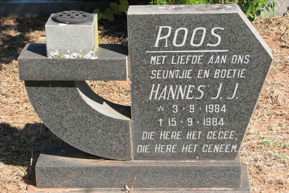 ROOS Hannes J.J. 1984-1984