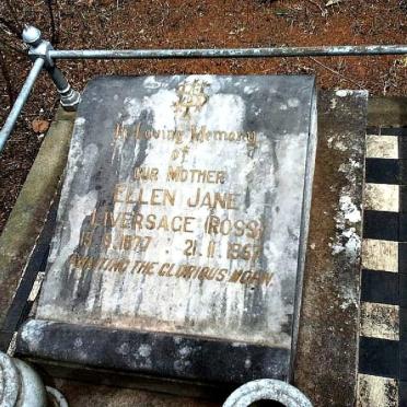 Mpumalanga, PIET RETIEF district, Witklip 207 HT, Arcadia farm cemetery