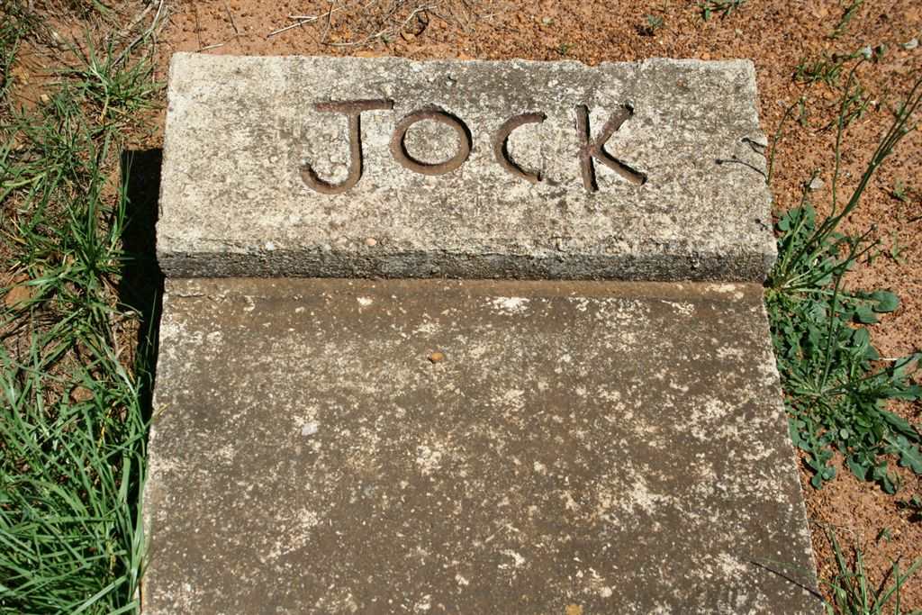 JOCK