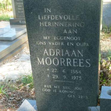 MOORREES Adriaan 1884-1975