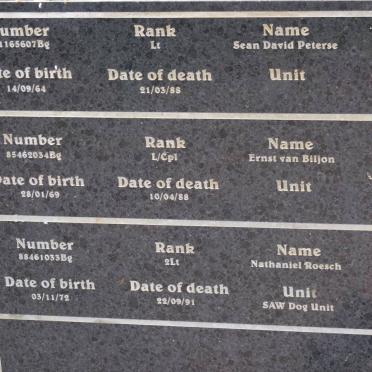 7. Plaques for the Army Members