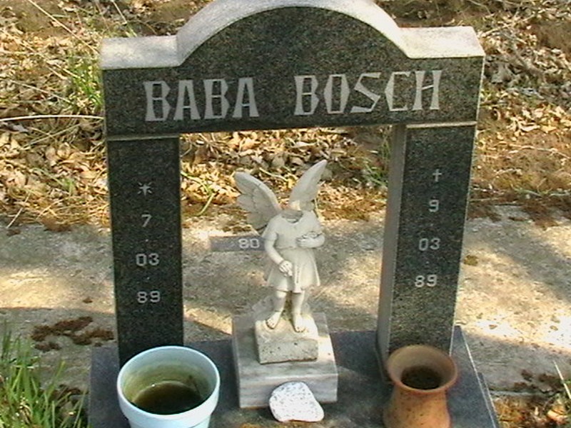 BOSCH Baba 1989-1989