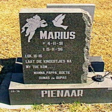 PIENAAR Marius 1991-1996