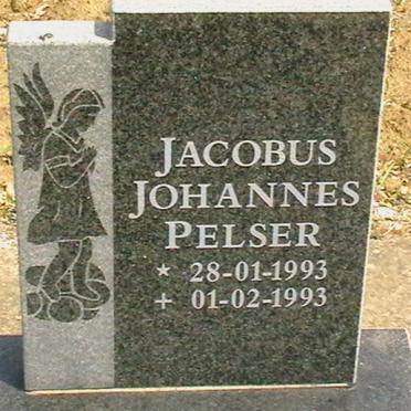 PELSER Jacobus Johannes 1993-1993