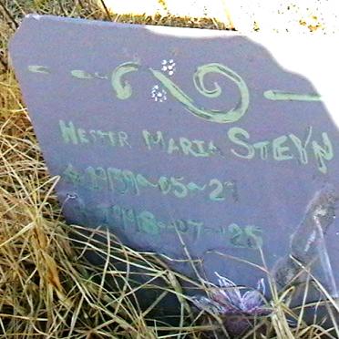 STEYN Hester Maria 1939-1998